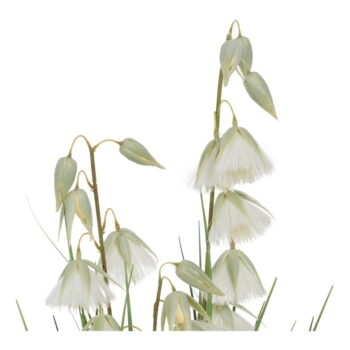 Umelá rastlina (výška 91 cm) – Ixia - Image 3