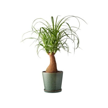 Kameninový obal na kvetináč ø 14 cm – Bitz - Image 2