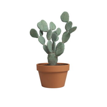 Kvetináč z terakoty ø 21 cm Amalia – Artevasi - Image 2