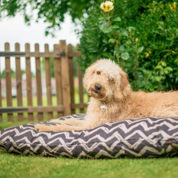 Čierny pelech pre psa 90x120 cm Outdoor Bed Barn Raven Black L – P.L.A.Y. - Image 2