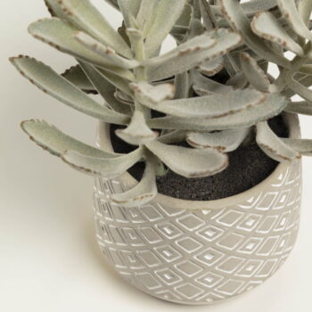 Umelý sukulent (výška  23 cm) Kalanchoe Tomentosa – Kave Home - Image 2