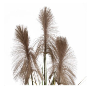 Umelá rastlina (výška 120 cm) – Ixia - Image 2