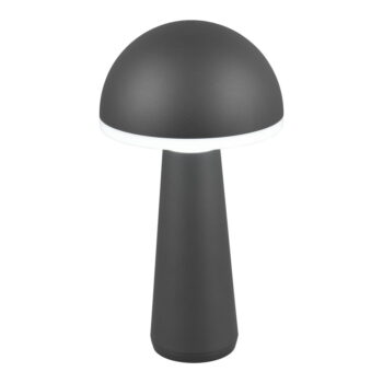 Vonkajšie svietidlo so stmievačom ø 16 cm Fungo – Trio - Image 7
