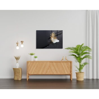Sklenený obraz 100x70 cm Feather - Wallity – Obrázok 2