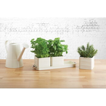 Súprava 3 krémovobielych kvetináčov na bylinky Kitchen Craft Living Nostalgia - Image 2