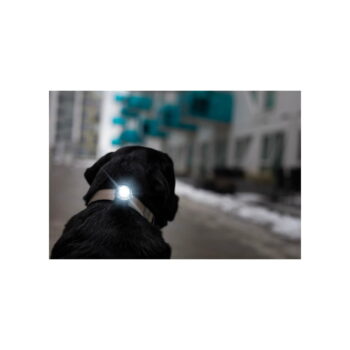 LED svetlo na obojok Dark – Orbiloc - Image 4