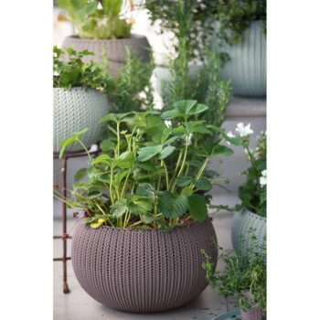 Plastový závesný a nástenný  kvetináč ø 36 cm Cozy – Keter - Image 2