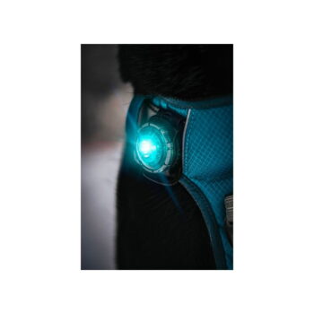 LED svetlo na obojok Turquoise – Orbiloc – Obrázok 7