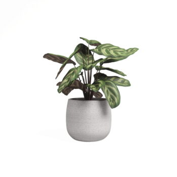 Keramický ručne vyrobený kvetináč ø 29 cm Hemera – Artevasi – Obrázok 4