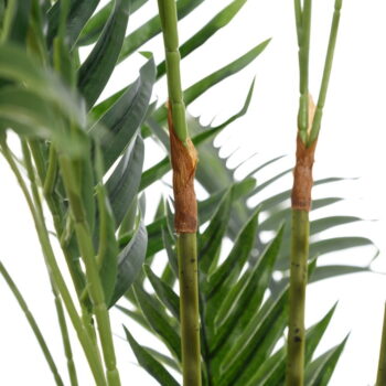 Umelá palma (výška  150 cm) Areca – Ixia - Image 2