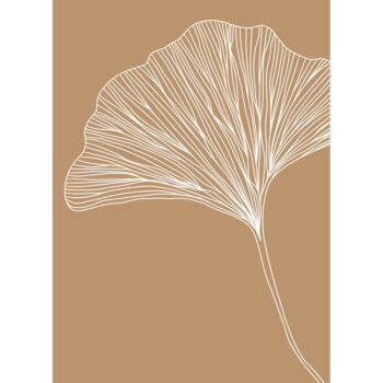Plagát 29x41 cm Gingko – Veronika Boulová
