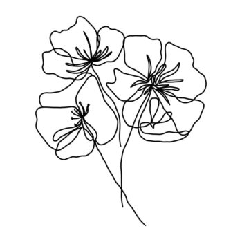Plagát 29x41 cm Black Poppy – Veronika Boulová