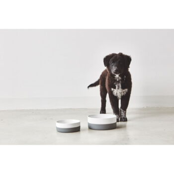Porcelánová miska pre psa ø 21,5 cm Coppa Slate M/L – MiaCara - Image 2