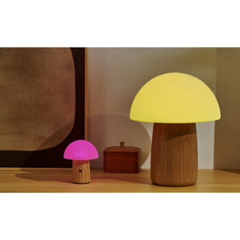 Stmievateľná stolová lampa v prírodnej farbe so skleneným tienidlom (výška 13 cm) Alice – Gingko - Image 9