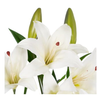 Umelá kvetina (výška 59 cm) Lily – Ixia - Image 6