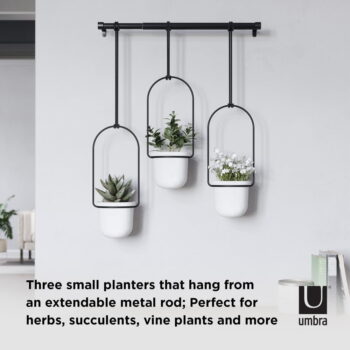 Plastový obal na kvetináč 3 ks  na bylinky/závesný a nástenný  ø 7,5 cm Triflora – Umbra - Image 4