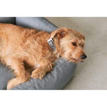 Sivý pelech pre psa 55x70 cm Mare Rock S – MiaCara – Obrázok 2