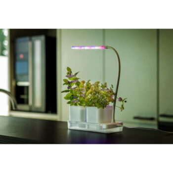 Kovová pestiareň Lamp – Esschert Design - Image 3
