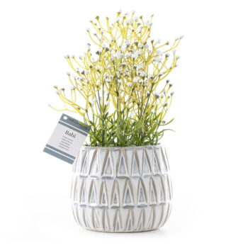 Umelá rastlina (výška 27 cm) Babi – AmeliaHome