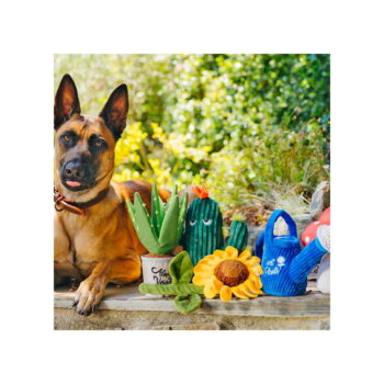 Darčeková súprava Blooming Buddies 5 ks – P.L.A.Y. - Image 2