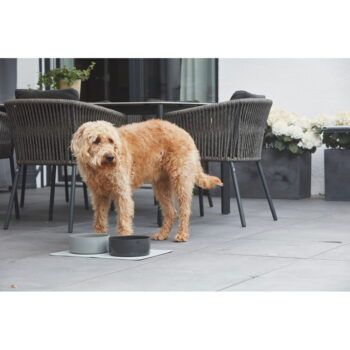 Porcelánová miska pre psa ø 20 cm Scodella Cement M/L – MiaCara - Image 2