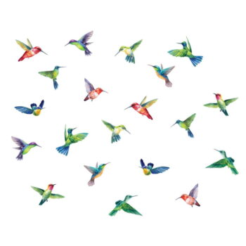 Súprava samolepiek na okno 20 ks 40x60 cm Hummingbirds - Ambiance - Image 2