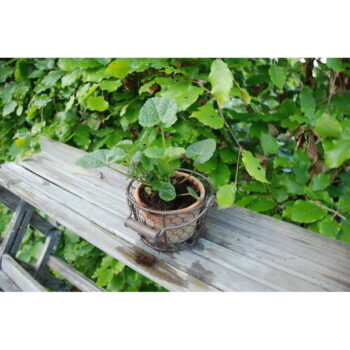 Terakotový ručne vyrobený kvetináč ø 12 cm – Esschert Design - Image 4