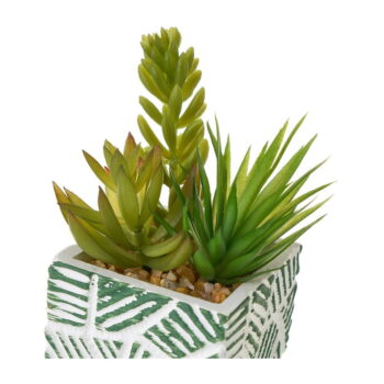 Umelé rastliny v súprave 3 ks (výška  12 cm) Cactus – Casa Selección - Image 2