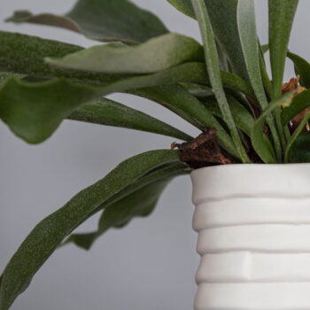 Biela porcelánová ručne vyrobená váza Ribbon – Mette Ditmer Denmark - Image 5