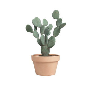 Kvetináč z terakoty ø 32 cm Amalia – Artevasi - Image 4
