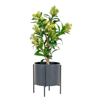 Umelá rastlina Skimmia – House Nordic - Image 2