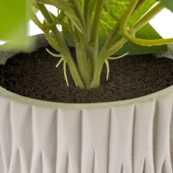 Umelá rastlina (výška 39 cm) Ivy – Ixia – Obrázok 4