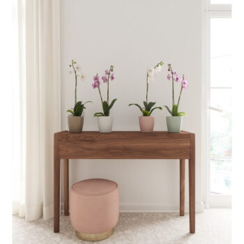Keramický kvetináč ø 14 cm Thalia – Artevasi - Image 4