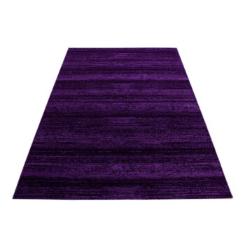 Tmavofialový koberec 80x150 cm Plus – Ayyildiz Carpets - Image 6