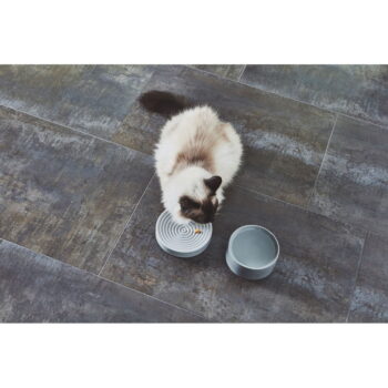 Porcelánová miska pre mačku ø 14 cm Fresco Concrete S – MiaCara - Image 7