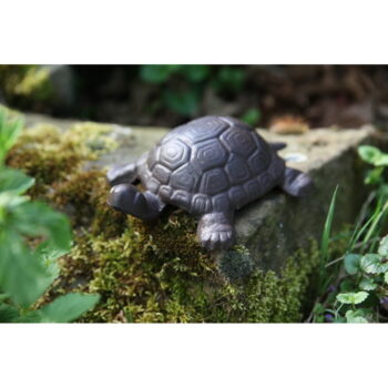 Kovová záhradná soška Turtle – Esschert Design - Image 3