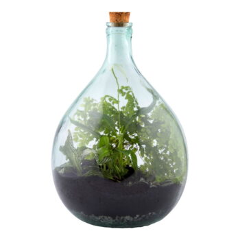 Sklenené rastlinné terárium s nástrojmi na pestovanie Esschert Design, 15 l - Image 2