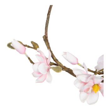 Veniec Magnolia – Ixia – Obrázok 3