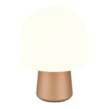 Stolová lampa v bielo-bronzovej farbe so skleneným tienidlom (výška 27 cm) Steen – Trio - Image 2