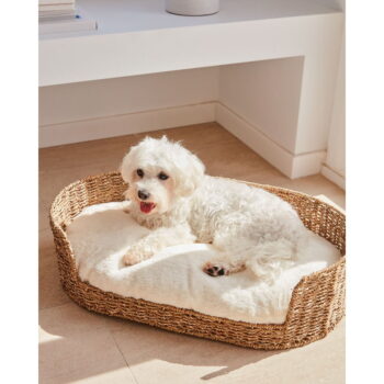 Biely pelech pre domáceho miláčika 40x60 cm Codie – Kave Home – Obrázok 7