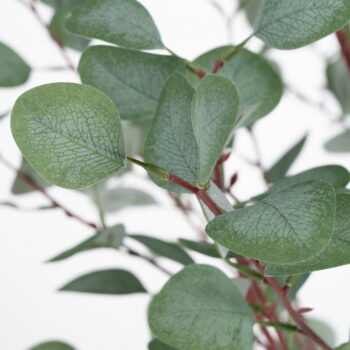 Umelý eukalyptus (výška 180 cm) Eucalyptus – Ixia - Image 2