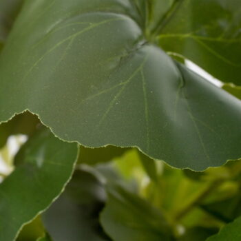 Umelá rastlina (výška 39 cm) Leaves – Ixia - Image 3