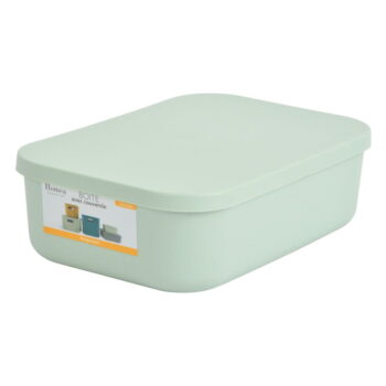 Svetlozelený plastový úložný box s vekom 24x18x8 cm – Homéa - Image 2
