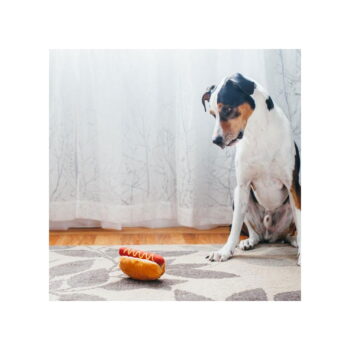 Hračka pre psa Hot Dog – P.L.A.Y. - Image 2