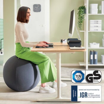 Ergonomická sedacia lopta so závažím ø 65 cm Ergo – Leitz – Obrázok 4