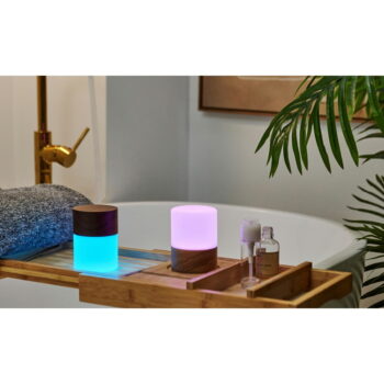 Stmievateľná stolová lampa v prírodnej farbe so skleneným tienidlom (výška 10,5 cm) Lemelia - Gingko – Obrázok 3