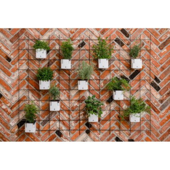 Samozavlažovací plastový kvetináč na bylinky Cobble - Flower Lover - Image 2