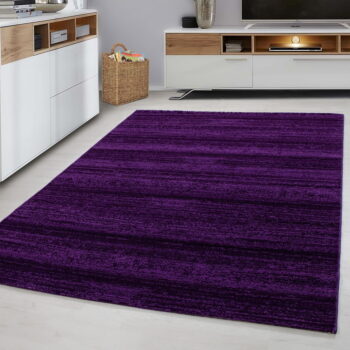 Tmavofialový koberec 80x150 cm Plus – Ayyildiz Carpets - Image 2