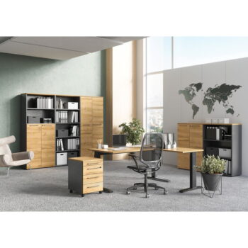 Antracitovosivá prírodná vysoká komoda v dekore duba 80x120 cm Agenda - Germania - Image 4
