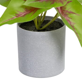 Umelá rastlina (výška 20 cm) Syngonium – Ixia - Image 2
